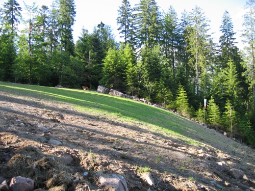 Schaefersfeld